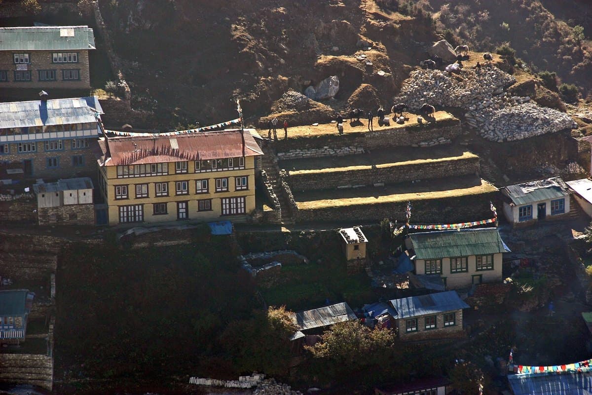 Tea Houses
