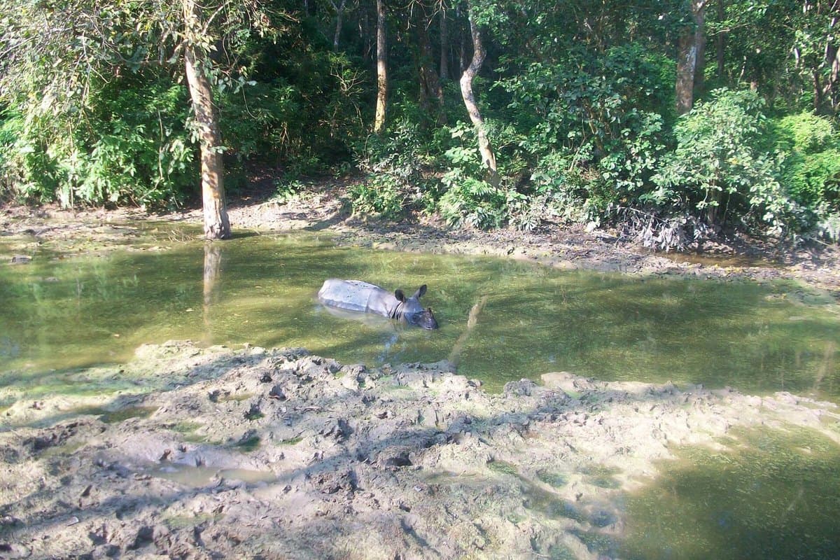 Chitwan National Park
